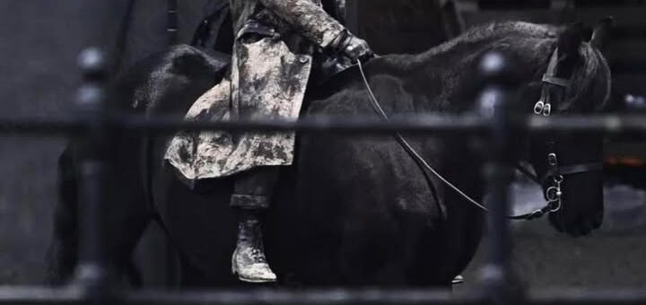 Tommy Shelby Returns: A Darker, War-Torn Era on the Big Screen