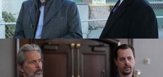 Who Made McGee Shine? Gibbs or Parker?