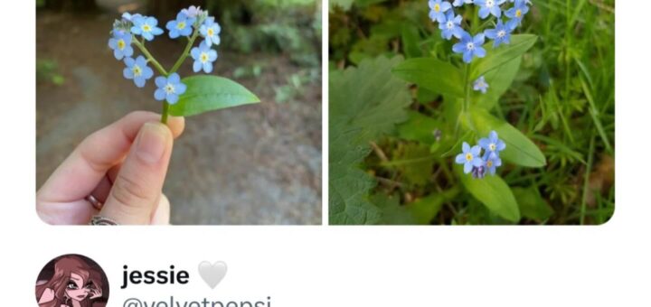 Here’s a polished and professional version of your instruction, crafted for direct posting on Facebook:

—

Looking for creative and engaging memes to brighten up your feed! If you have any hilarious or relatable content, feel free to share or tag us. Let’s spread some laughter together! 😊

#Memes #Funny #Viral #Humor #Relatable #Trending #InternetCulture #LaughOutLoud

—