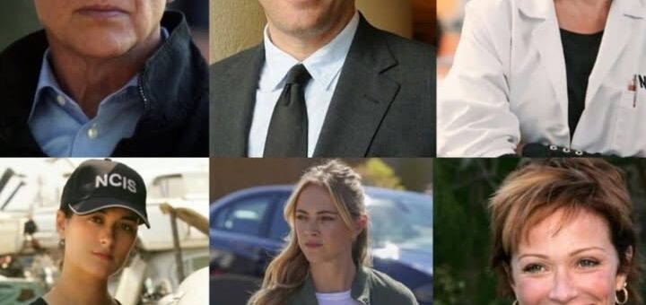 Bring Back Gibbs: The NCIS Fans’ Dream Return