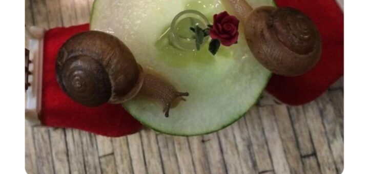 Here’s a polished and professional version of your text for a direct Facebook post:

—

Excited to share some light-hearted memes to brighten your day! Laughter is the best medicine, so let’s spread some positivity and enjoy a good chuckle together. 😊

#Memes #FunnyMoments #Humor #Viral #Trending #LaughOutLoud #InternetCulture #2023Trends

—