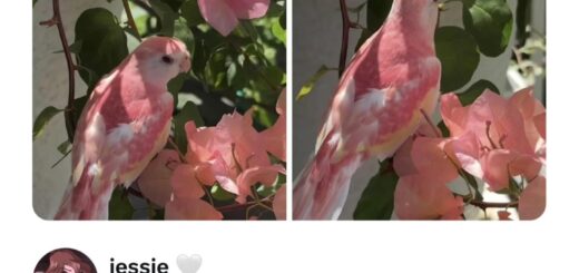 Here’s a professional version of your input for a clean, direct post on Facebook with trending hashtags:

—

Looking for a good laugh? Check out these hilarious memes that are sure to brighten your day! 😄 Share the fun with your friends and family. 

#Memes #Funny #Viral #Humor #LaughOutLoud #Trending2023 #InternetCulture

—