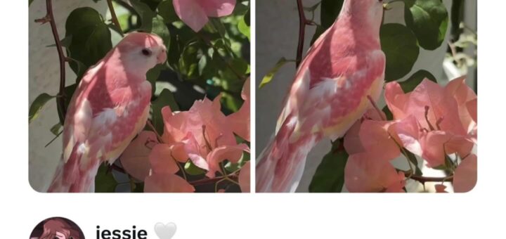 Here’s a professional version of your input for a clean, direct post on Facebook with trending hashtags:

—

Looking for a good laugh? Check out these hilarious memes that are sure to brighten your day! 😄 Share the fun with your friends and family. 

#Memes #Funny #Viral #Humor #LaughOutLoud #Trending2023 #InternetCulture

—