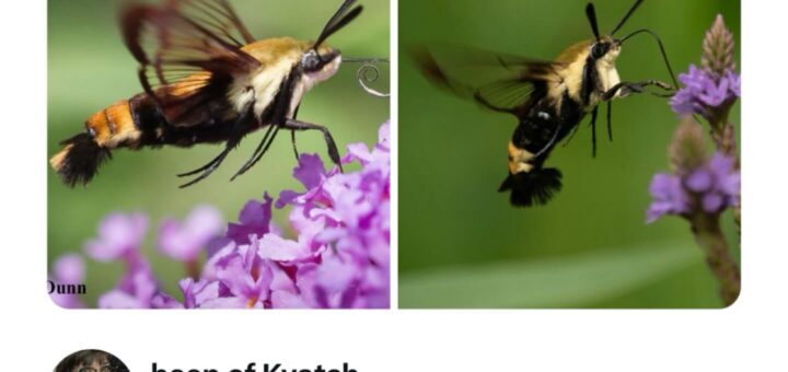 Here’s a professional version of your instruction regarding memes, formatted for direct posting on Facebook:

—

Looking for some laughter to brighten your day? Check out these hilarious memes that are sure to put a smile on your face! Share the fun with your friends and family. 😊

#Memes #Funny #Humor #Viral #Trending #LaughOutLoud #InternetHumor #Relatable

—