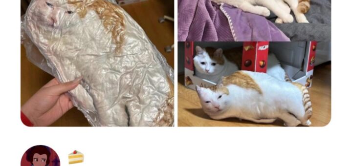 His expression of concern is truly striking.  

#Concerned #ExpressionMatters #CurrentEvents #TrendingNow #Viral