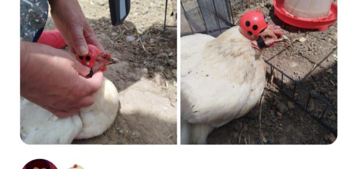 I am deeply saddened by this. 😞  
#Sad #Heartbroken #Emotional #MentalHealthAwareness #SupportEachOther