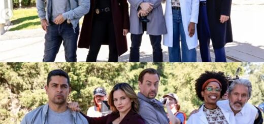 NCIS Renewed for Season 23: Fans Celebrate the Return of America’s Favorite Crime Team