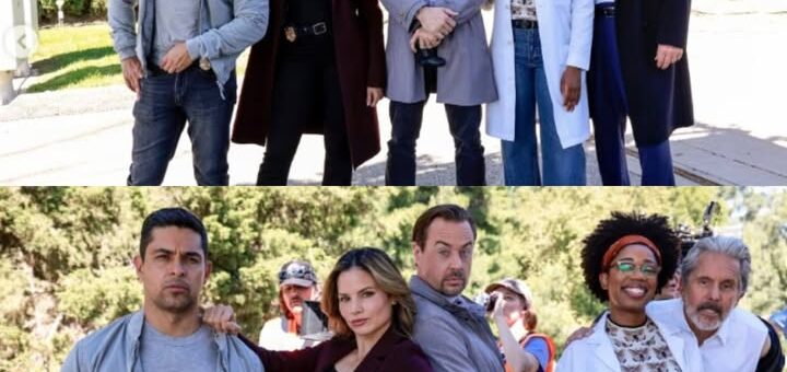 NCIS Renewed for Season 23: Fans Celebrate the Return of America’s Favorite Crime Team