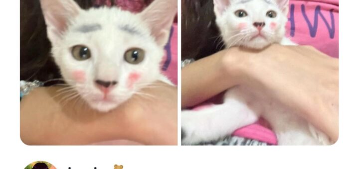 Can anyone guess who this fabulous diva is? Drop your thoughts below! 💃✨  
#GuessWho #DivaVibes #TrendingNow #Viral #FashionIcon