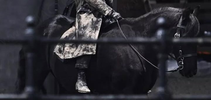 Tommy Shelby Returns: The Immortal Man Brings Peaky Blinders to the Big Screen