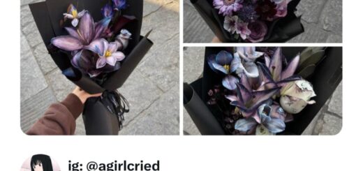 These are absolutely stunning! 🌟✨  

#Gorgeous #Beautiful #Amazing #Trending #Viral #Inspiration