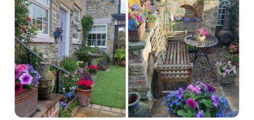 I’m absolutely in love with this beautiful garden! 🌸🌿 The tranquility and vibrant colors are simply mesmerizing. Nature at its finest! 

#NatureLovers #GardenInspiration #GreenVibes #OutdoorBeauty #PlantLife