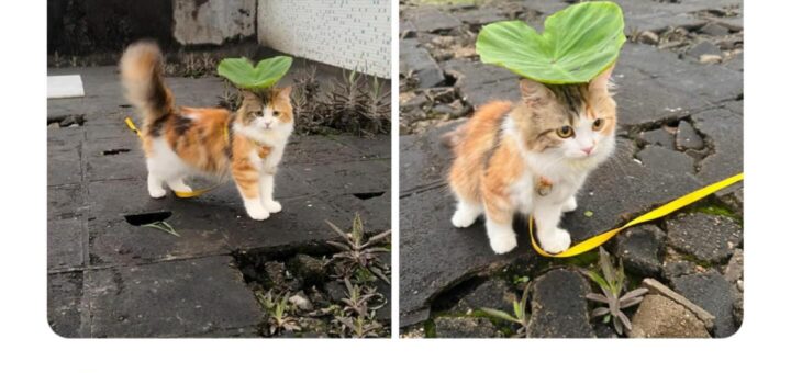 Get ready to laugh out loud with these hilarious memes! 😂 Share the fun with your friends and brighten up their day. Let’s spread some joy together!

#Memes #Funny #Humor #Viral #Trending #LOL #Comedy #InternetLaughs #ShareTheFun