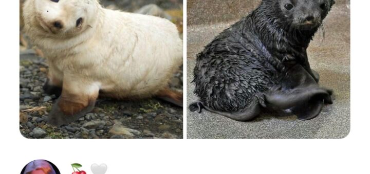 Looking for a good laugh? Check out these hilarious memes that will brighten your day! 😂 Spread the humor and share with your friends! 

#Memes #Funny #Humor #Viral #Trending #LaughOutLoud #MemeOfTheDay #InternetHumor