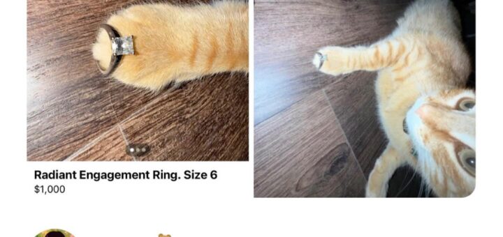 🌟 Bringing some humor to your feed with these hilarious memes! Laughter is the best medicine, so let’s share a chuckle together. Check out these funny moments and tag a friend who needs a good laugh today! 😄

#Memes #Funny #Humor #LaughterIsTheBestMedicine #Viral #Trending #Relatable #MemeLovers #Hilarious #Smile