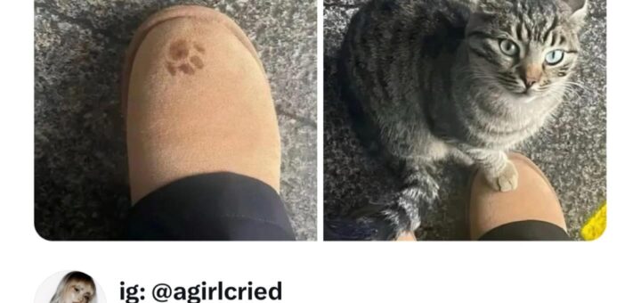 Introducing our exclusive **Limited Edition UGGs**! Elevate your style with these rare, must-have boots crafted for ultimate comfort and unmatched elegance. Don’t miss out—grab yours before they’re gone! 

#LimitedEdition #UGGs #FashionTrends #WinterStyle #Streetwear #MustHave #HolidaySeason #ShopNow