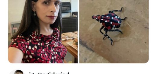 Looking for a good laugh? Check out these hilarious memes that are sure to brighten your day! 😂 Drop a comment if you can relate, and tag a friend who needs a smile today. 😊

#Memes #Funny #Humor #Viral #笑顔 #笑い #Trend2023 #Vibes #Relatable #LOL