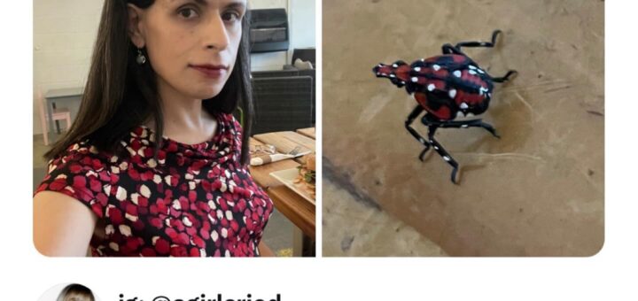 Looking for a good laugh? Check out these hilarious memes that are sure to brighten your day! 😂 Drop a comment if you can relate, and tag a friend who needs a smile today. 😊

#Memes #Funny #Humor #Viral #笑顔 #笑い #Trend2023 #Vibes #Relatable #LOL