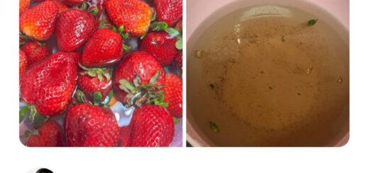 Looking for a good laugh? Dive into the world of memes that perfectly capture life’s funniest moments! Share the humor and tag a friend who needs a smile today. 😄😂

#Memes #Funny #Humor #Viral #LaughOutLoud #InternetCulture #Relatable #Trending #ExplorePage #Reels