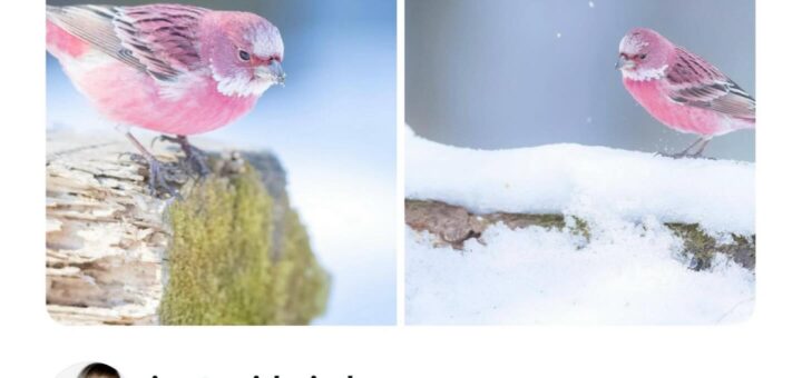 😂 Memes are the best way to brighten up your day! Here’s a collection of hilarious memes to keep you laughing. Share the fun and tag your friends who need a good chuckle! 😄

#Memes #Funny #Humor #LaughOutLoud #Viral #Trending2023 #MemeCulture #Relatable #Comedy #InternetHumor