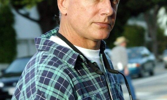Mark Harmon’s Ex-Girlfriend Stuns Fans with Jaw-Dropping Transformation