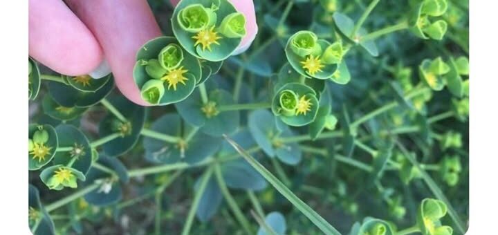 Sydney Sweeney: Rising Star Embodying Talent and Authenticity in 2023