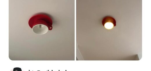 Sydney Sweeney’s Family: The Heartbeat Behind Her Success