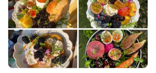 Sydney Sweeney: From Aspiring Actress to Hollywood Star