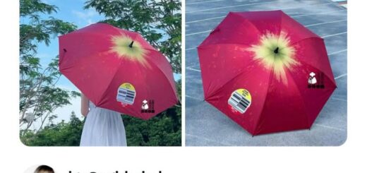 Sydney Sweeney: From Small-Town Dreamer to Hollywood Star