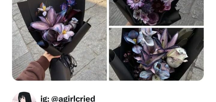 Sydney Sweeney’s Family: The Heart Behind Her Success