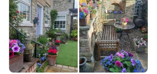 Sydney Sweeney’s Inspiring Journey to Hollywood Stardom